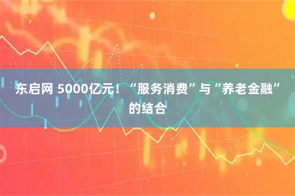 东启网 5000亿元！“服务消费”与“养老金融”的结合