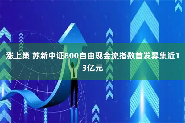 涨上策 苏新中证800自由现金流指数首发募集近13亿元